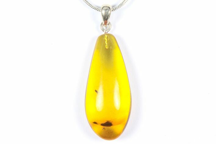 Polished Baltic Amber Pendant (Necklace) - Contains Insect! #368900